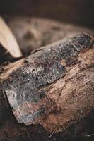 Photo near a pile of firewood for a fireplace prepared for the winter.