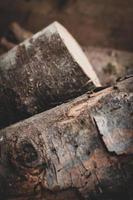 Photo near a pile of firewood for a fireplace prepared for the winter.