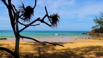 naithon strand bukt panorama med turkos klar vatten phuket thailand. video