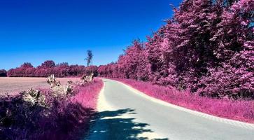 Beautiful purple infrared landscape in hires. photo