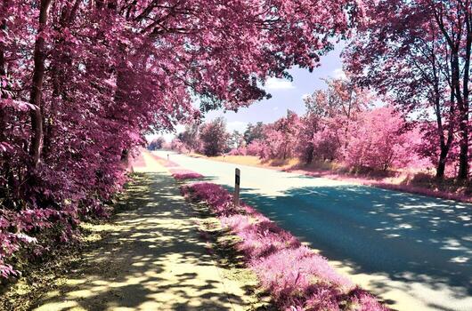 Beautiful purple infrared landscape in high resolution photo