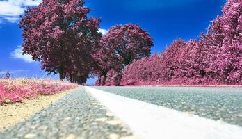 Beautiful purple infrared landscape in high resolution photo