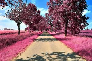 Beautiful purple infrared landscape in high resolution photo