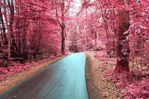 hermoso paisaje infrarrojo púrpura en alta resolución foto