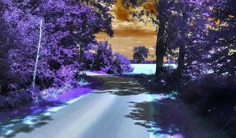 Beautiful purple infrared landscape in hires. photo