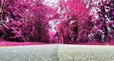 Beautiful purple infrared landscape in high resolution photo