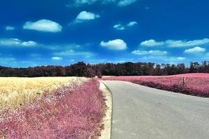 Beautiful purple infrared landscape in high resolution photo