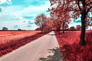 Beautiful purple infrared landscape in high resolution photo