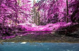 Beautiful purple infrared landscape in high resolution photo