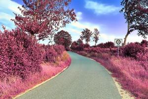 Beautiful purple infrared landscape in high resolution photo