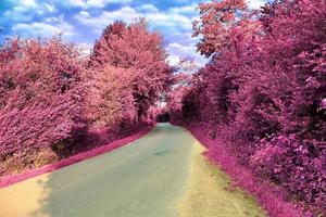 hermoso paisaje infrarrojo púrpura en alta resolución foto