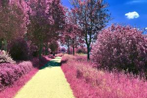 Beautiful purple infrared landscape in high resolution photo