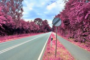 hermoso paisaje infrarrojo púrpura en alta resolución foto