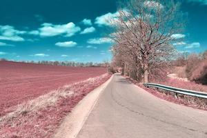 Beautiful purple infrared landscape in high resolution photo