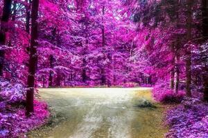 Beautiful pink and purple infrared panorama of a countryside landscape with a blue sky photo