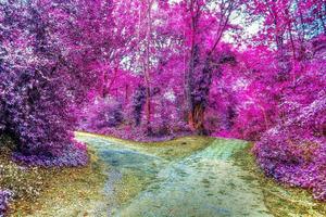 hermoso panorama infrarrojo rosa y púrpura de un paisaje rural con un cielo azul foto