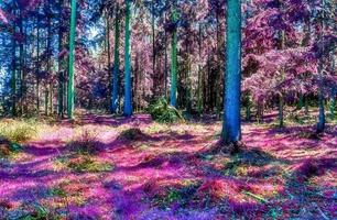 Beautiful pink and purple infrared panorama of a countryside landscape with a blue sky photo