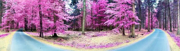 Beautiful pink and purple infrared panorama of a countryside landscape with a blue sky photo