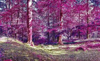 Beautiful pink and purple infrared panorama of a countryside landscape with a blue sky photo