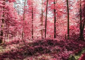 hermoso panorama infrarrojo rosa y púrpura de un paisaje rural con un cielo azul foto