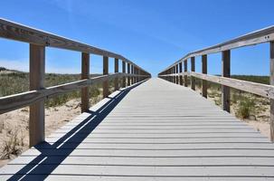Wooden Path Way Over Sand Dunes on Cape Cod photo