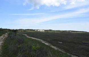 Tidal Flats and Path Ways Along the Outer Cape photo