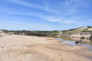 Views of Sand Beach and Shallow Marsh on the Cape photo