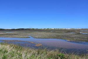 Lovely View of Tidal Flats Along Cape Cod photo