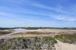 Gorgeous Scenic View of Tidal Marsh Along the Cape photo