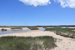 Salt Marsh and Sands Along Tidal Pools on the Cape photo