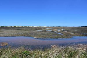 pequeño arroyo y río que fluye a través de tierras de marea foto