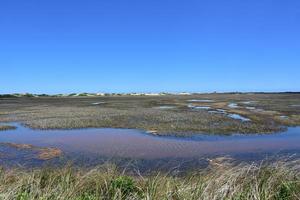 Flowing Water in Tide Pools in a Marsh photo