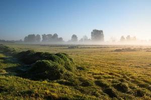 The sun rises in autumn over a freshly mowed field with the grass still lying on it. The fog hovers over the ground. The sky is blue and red. photo