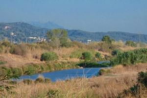 Llobregat river very close to its mouth in the mediterranean sea near the city of Barcelona. photo