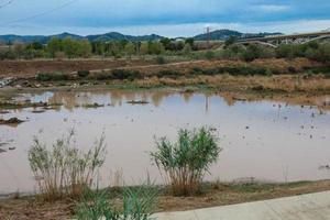 wetlands in the vicinity of a river photo