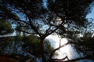 Sant Feliu de Guixols town on the Costa Brava, Spain photo