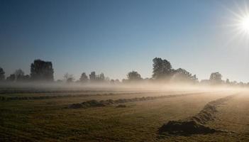 The sun rises in autumn over a freshly mowed field with the grass still lying on it. The fog hovers over the ground. The sky is blue and red. photo