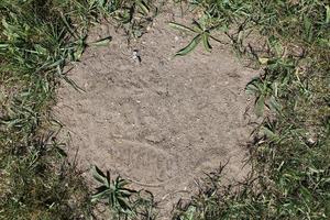 Detailed close up view on a brown sand ground texture photo