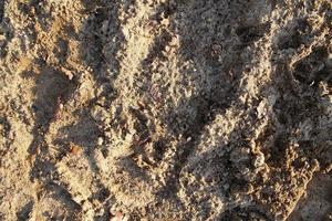 Detailed close up view on a brown sand ground texture photo