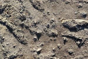 Detailed close up view on a brown sand ground texture photo