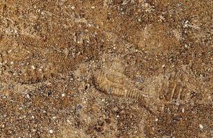 Detailed close up view on a brown sand ground texture photo