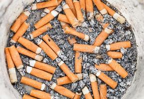 many cigarette ends in plastic pot photo