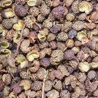 dried pods of Sichuan pepper close up photo