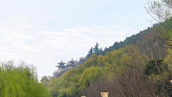 view of pagodas in green garden photo