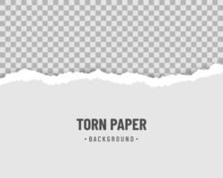 Ripped paper horizontal with soft shadow vector