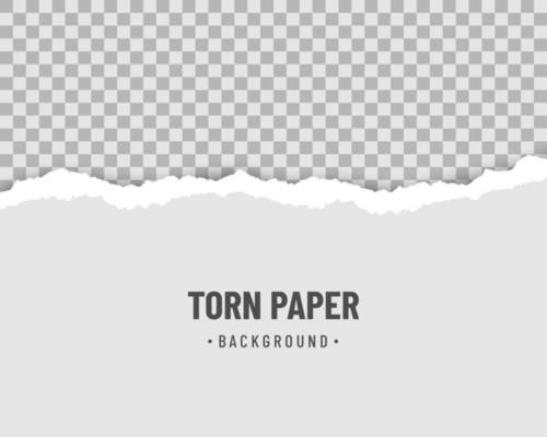 Ripped paper horizontal with soft shadow