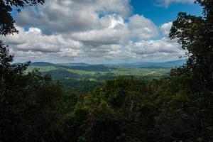 Lookout over rainforest photo