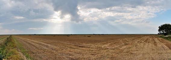 Beautiful high resolution panorama of a northern european country landscape with fields and green grass photo