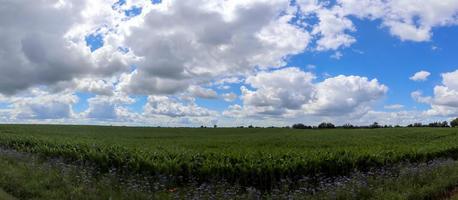 hermoso panorama de alta resolución de un paisaje con campos y hierba verde que se encuentra en dinamarca y alemania. foto