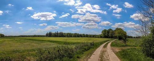 hermoso panorama de alta resolución de un paisaje con campos y hierba verde que se encuentra en dinamarca y alemania. foto